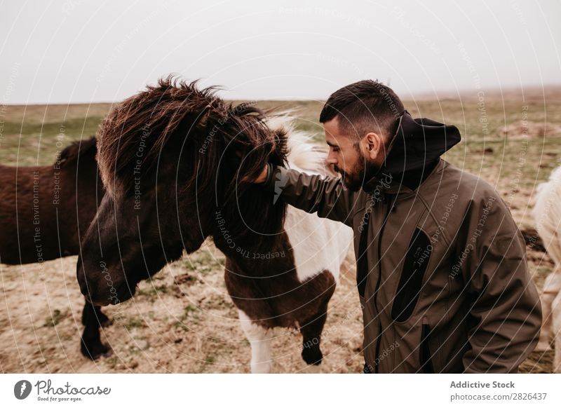 Man stroking horse Stroke Horse Iceland caring breeding Large-scale holdings Agriculture Caress Landscape Emotions Affection Touch Love Nature equestrian