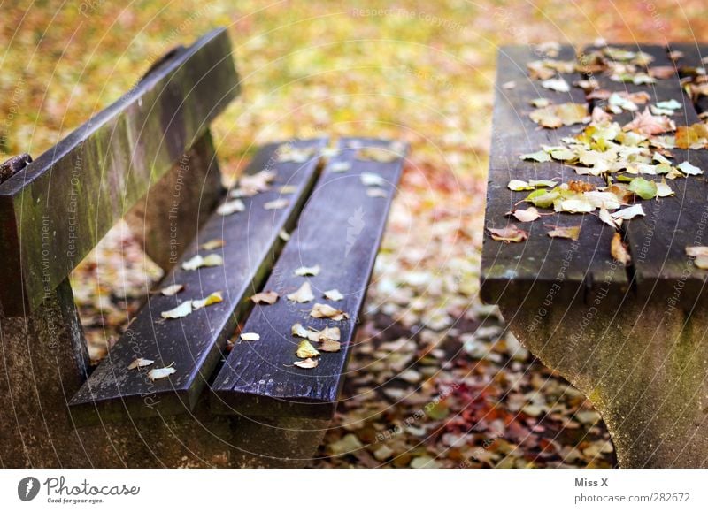 autumn bank Autumn Leaf Garden Park Multicoloured Park bench Bench Table Autumnal Autumn leaves Wood Wooden table Wooden bench Colour photo Exterior shot