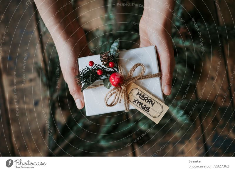 Top view of hands holding Christmas present Lifestyle Style Joy Winter Woman Adults Hand 1 Human being 30 - 45 years Feasts & Celebrations Authentic Happiness