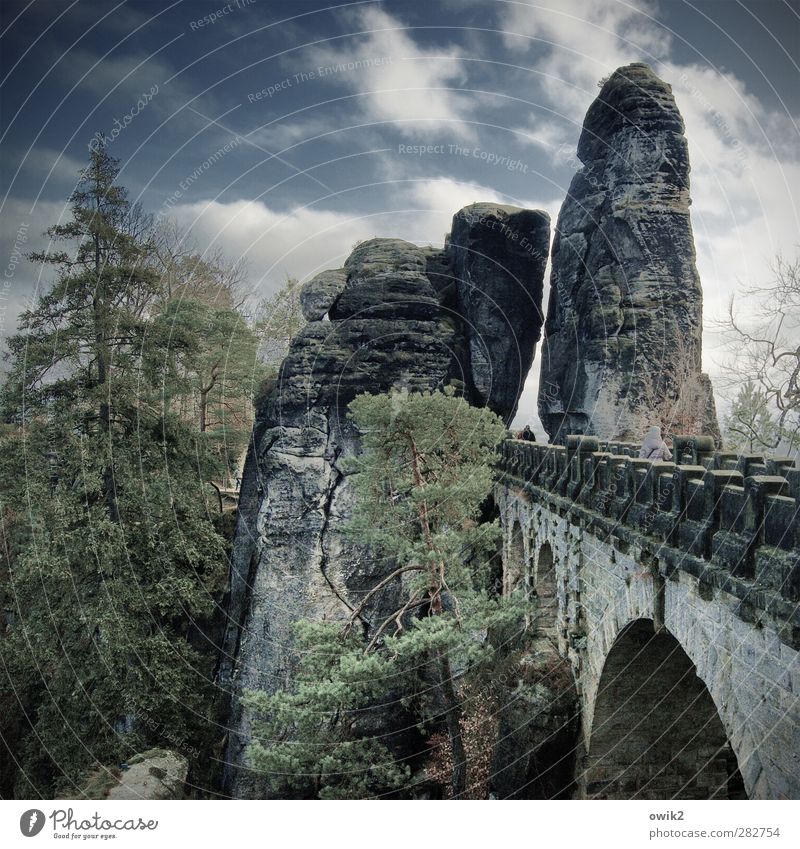 monument Tourism Sightseeing Human being Back 2 Environment Nature Landscape Plant Sky Clouds spring Climate Weather Beautiful weather tree Foliage plant