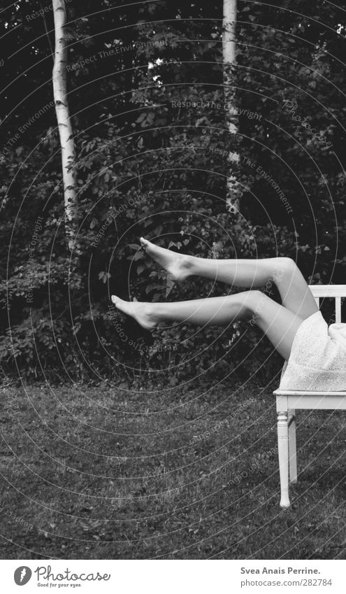 2B. Feminine Woman Adults Legs Feet 1 Human being Nature Tree Birch tree Park Meadow Skirt Dress Chair Lie Sit Uniqueness Black & white photo Exterior shot