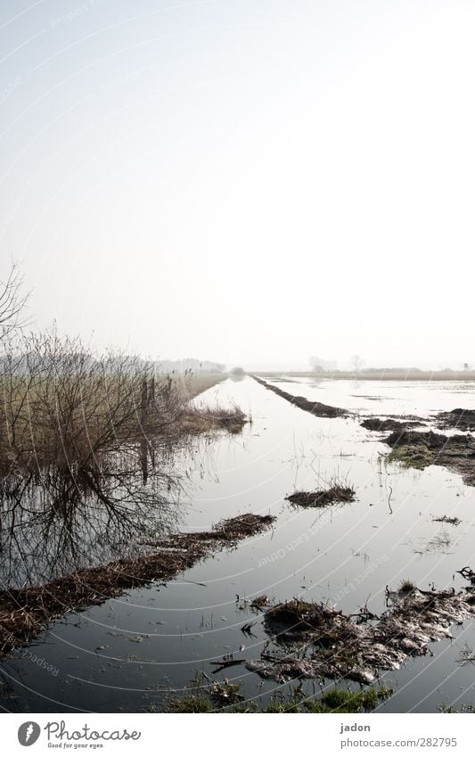 abundance Environment Nature Landscape Water Sky Cloudless sky Horizon Sunlight Climate change Weather Storm Plant Field River bank Bog Marsh Brook