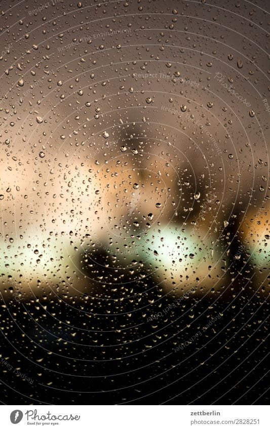 SHOE Twilight Window Car Window Train window Window pane Autumn Wet Nature Precipitation Hurricane Park Rain Rainwater Drops of water Sunset Gale Forest Weather