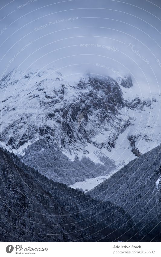 View to misty mountain Mountain Winter Fog Nature Landscape Snow Vacation & Travel Vantage point Sky Hill Cold Forest Clouds Beautiful scenery Panorama (Format)