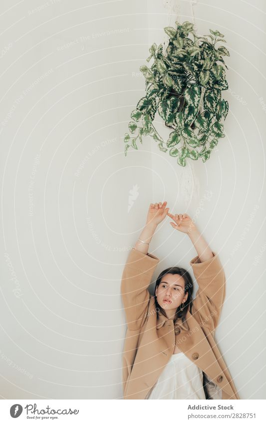 Young woman under cache pot Woman pretty Youth (Young adults) Beautiful Strick rope Plant Houseplant Brunette Attractive Human being Beauty Photography Adults