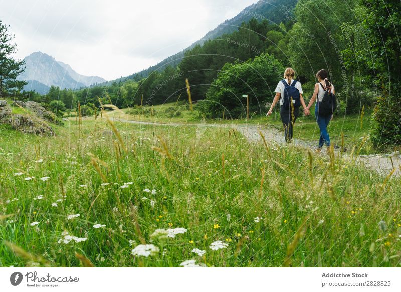 Women walking on rural road Woman Walking Street Rural holding hands Friendship Backpack Nature Girl Youth (Young adults) Beautiful Vacation & Travel Tourism