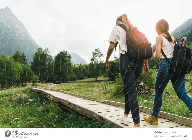 Women walking on wooden path in mountains Woman Walking Street Rural Friendship Backpack Nature Girl Youth (Young adults) Beautiful Vacation & Travel Tourism