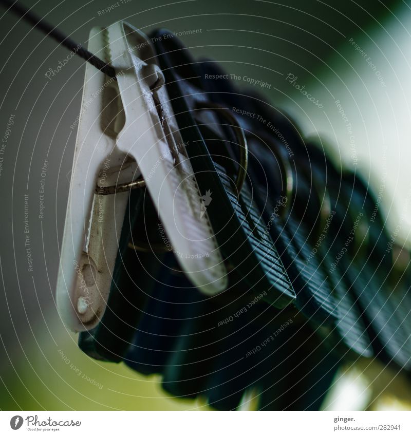 A\\\\ Plastic Blue White Holder Clothesline Difference Hang Dark Empty To hold on Exterior shot Close-up Detail Pattern Structures and shapes Deserted Day Light