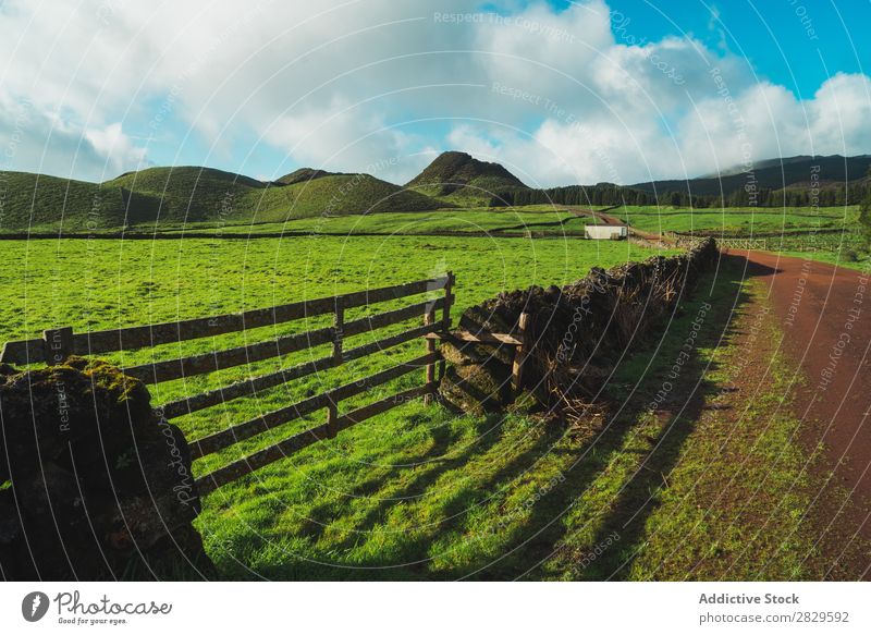 Green field and hills Field Nature Meadow Spring Fence Wood Summer Grass Landscape Agriculture Rural Sunlight Farm Beautiful Lawn Environment Natural Seasons