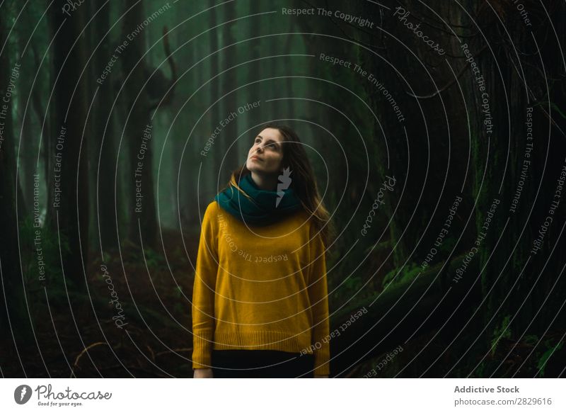 Woman looking up in forest Forest Green pretty Vacation & Travel Tourism Loneliness Nature Landscape Tree Trunk Plant Park Seasons Fog Environment Scene