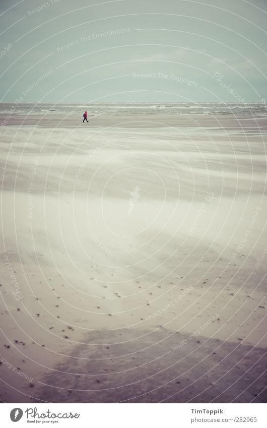 Nowhere #5 Beach Loneliness Ocean Sand Sandy beach Walk on the beach Individual To go for a walk Waves Sadness Sentimental Horizon Langeoog Gale Sandstorm Wind