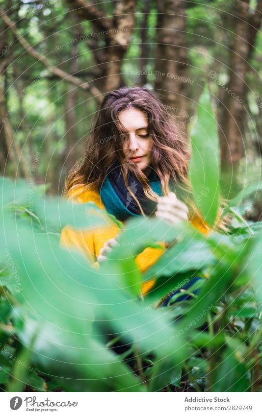 Pensive woman in forest Woman Forest Green Dream Considerate pretty Vacation & Travel Tourism Loneliness Nature Landscape Tree Trunk Plant Park Seasons Fog