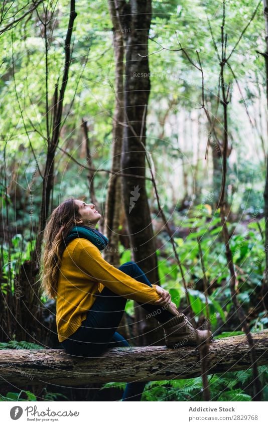 Woman sitting on trunk in woods Forest Dream Considerate Trunk Sit Looking up Green pretty Vacation & Travel Tourism Loneliness Nature Landscape Tree Plant Park