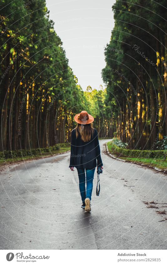 Photographer posing in sunny forest Woman pretty Forest Green Hat Nature Environment Natural Seasons Plant Leaf Light Fresh Bright Day Sunlight Wood Growth