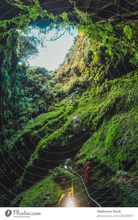 Tourist standing in cave Cave Stand Green Moss Rock Vacation & Travel Nature Tourism Ancient Vantage point Stone Wall (building) Light 1 Adventure Natural