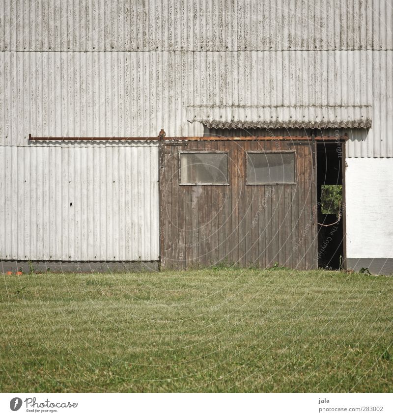 peep through Plant Grass Meadow Manmade structures Building Barn Barn door Wall (barrier) Wall (building) Facade Gate Gloomy Colour photo Exterior shot Deserted