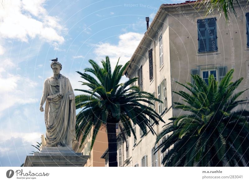 Fuck Bonaparte. Human being Masculine 1 Art Sculpture ajaccio Corsica Small Town Landmark Monument Stone Old Decline Past Transience Napoleon Palm tree