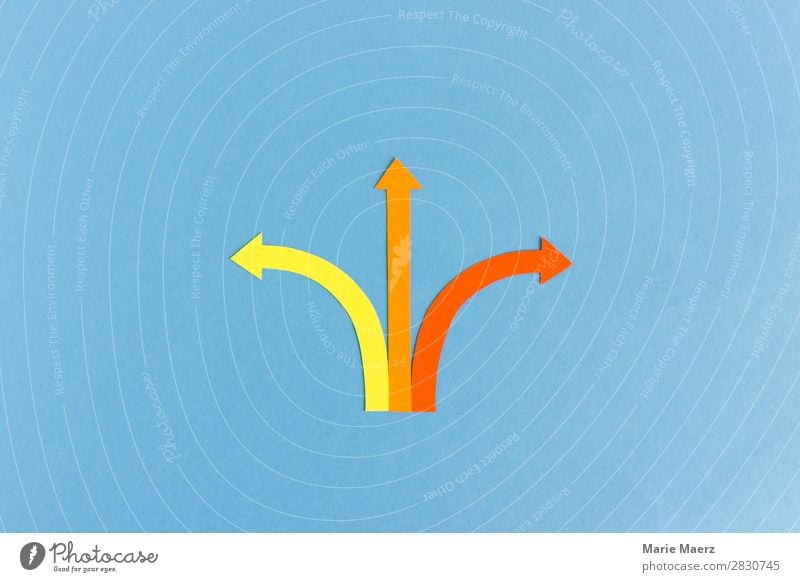 Where to? Left, right, straight ahead Education Study Career Sign Arrow Walking Simple Blue Multicoloured Willpower Brave Flexible Success Uniqueness Growth