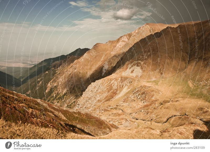 Carpathian migration Environment Nature Landscape Elements Beautiful weather Rock Mountain High mountain region Romania Siebenbürgen Europe Travel photography