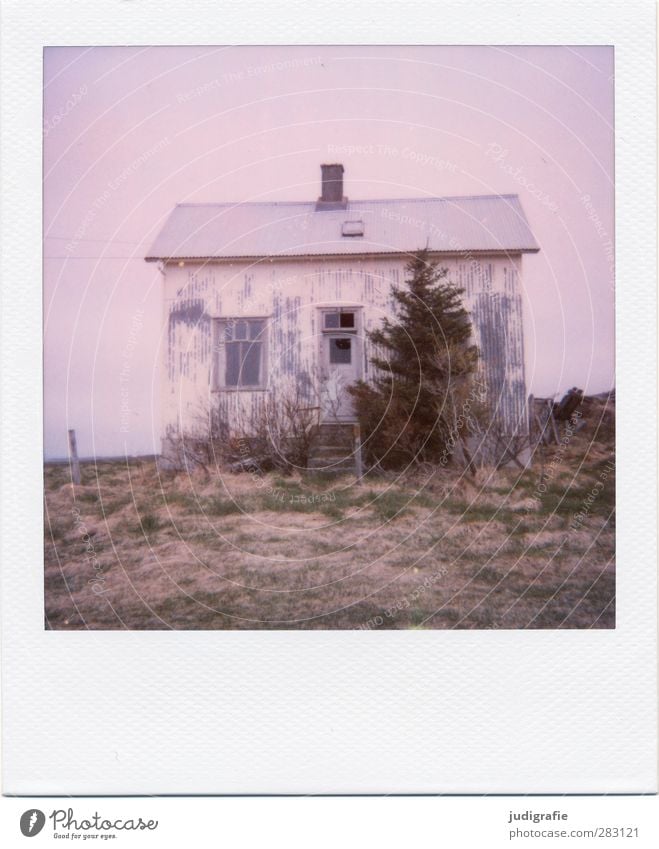 Iceland Nature Landscape Plant Tree Deserted House (Residential Structure) Hut Manmade structures Stairs Facade Window Door Old Broken Small Moody Loneliness