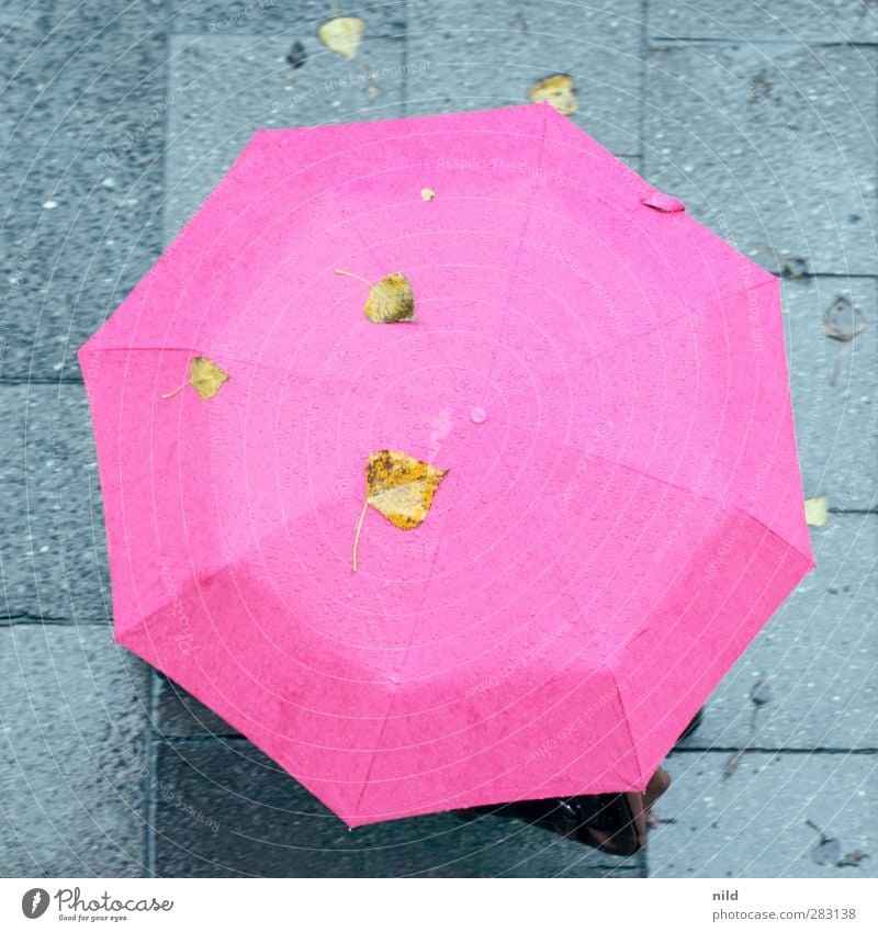 terrible weather Human being 1 Autumn Weather Bad weather Rain Town Sidewalk Bag Umbrella Going Cold Healthy Common cold Autumnal Leaf Colour photo