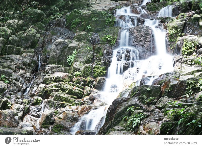 Tioman Waterfall Exotic Life Harmonious Well-being Contentment Relaxation Calm Cure Tourism Trip Adventure Far-off places Expedition Nature Plant Summer