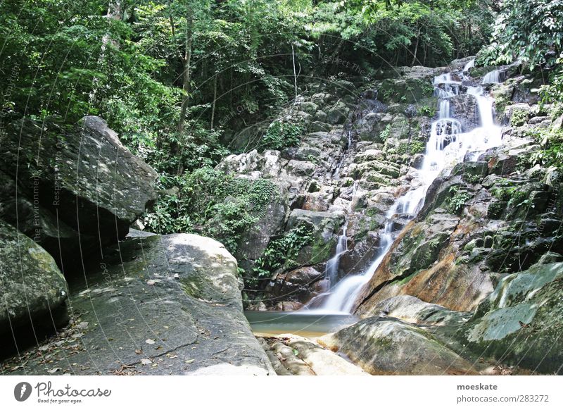 Waterfall Pulau Tioman Vacation & Travel Tourism Trip Expedition Summer Island Nature Wilderness Asia Virgin forest Long exposure Relaxation Tree Green