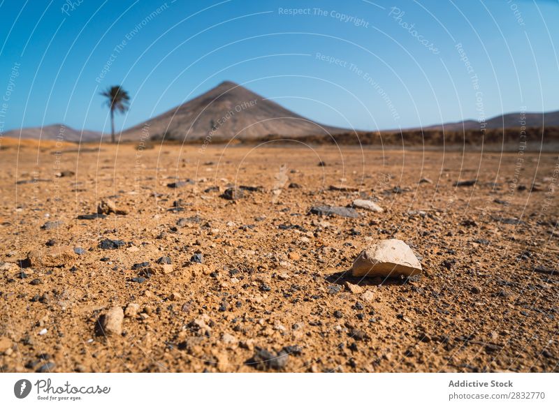 Landscape of tropical dessert terrain Rock Ruined Desert Nature Stone Grunge demolished Architecture desolated Landing Tourism Building Forget Rural Natural