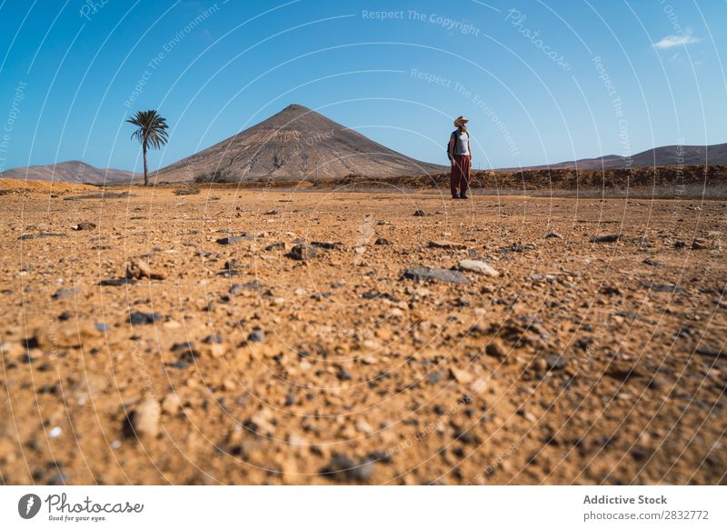 Man with backpack walking in tropical desert traveler Desert trekking Freedom terrain Traveling Seasons Adventure exploration Dune Walking Tourism Natural