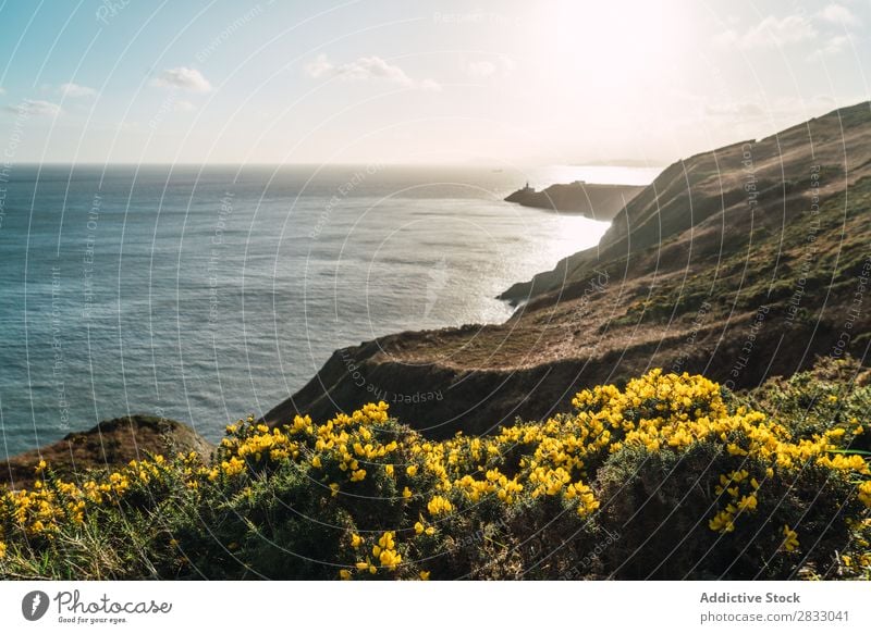 Big coastal rock and calm ocean Coast seaside Rock Ocean Landscape Beach Nature Water Natural seascape Stone Beautiful Green Grass Vacation & Travel Sunbeam