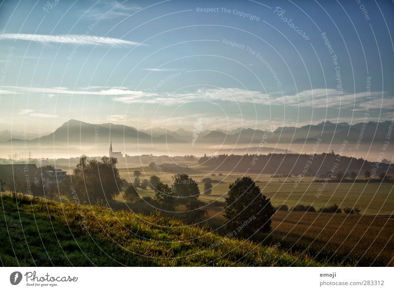 Swiss Sea Environment Nature Landscape Sky Autumn Fog Field Alps Mountain Village Historic Natural Sea of fog Switzerland Colour photo Exterior shot Deserted