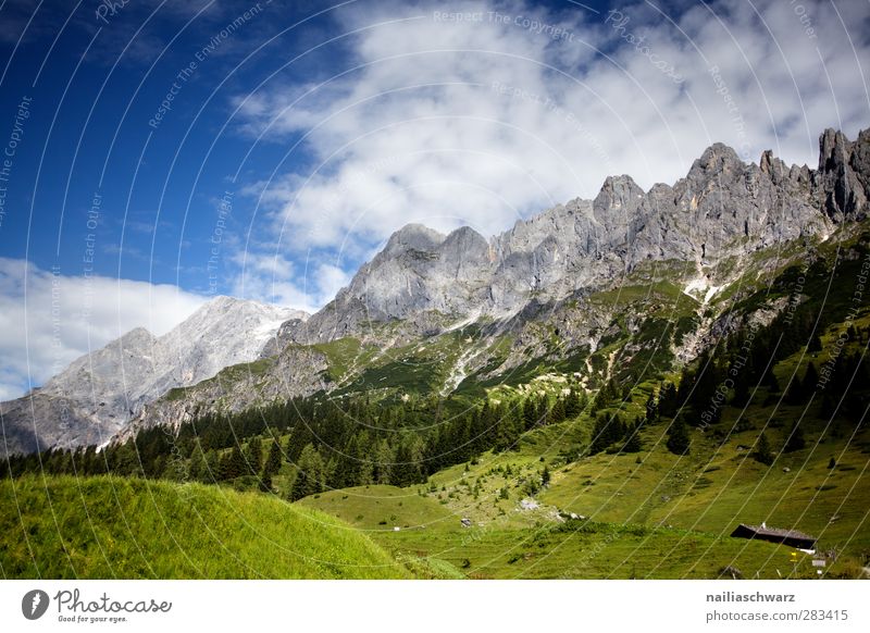 High King Environment Nature Landscape Plant Sky Clouds Beautiful weather Alps Mountain Peak Glacier Esthetic Large Blue Gray Green millstream Austria