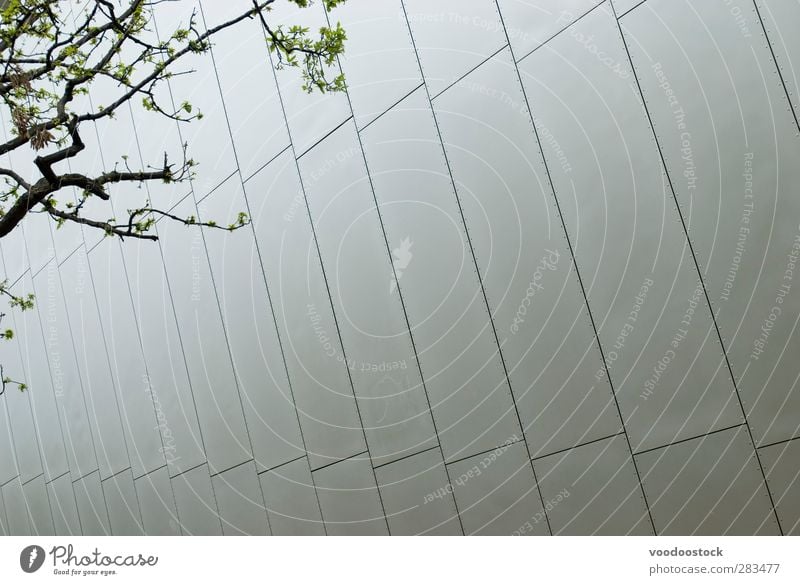 Man-made and Organic Tree Wall (barrier) Wall (building) Cold Modern Town Silver juxtaposition man made relfective branches urban Barricade Riveted ganvinised