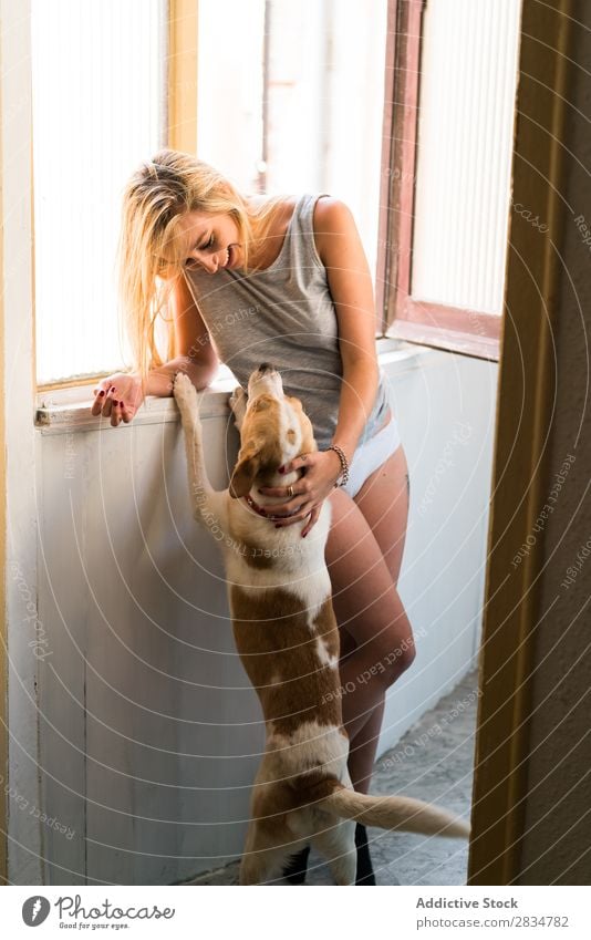 Sexy young woman at home playing with her dog Dog Pet Love Human being House (Residential Structure) Youth (Young adults) Eroticism Girl Woman Caucasian Happy