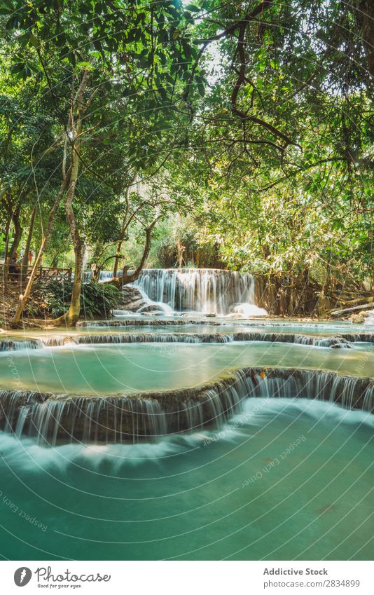 Beautiful small waterfalls flowing Forest cascade Nature Landscape Water Vacation & Travel River Waterfall Park Green Stream Tourism Flow scenery Virgin forest