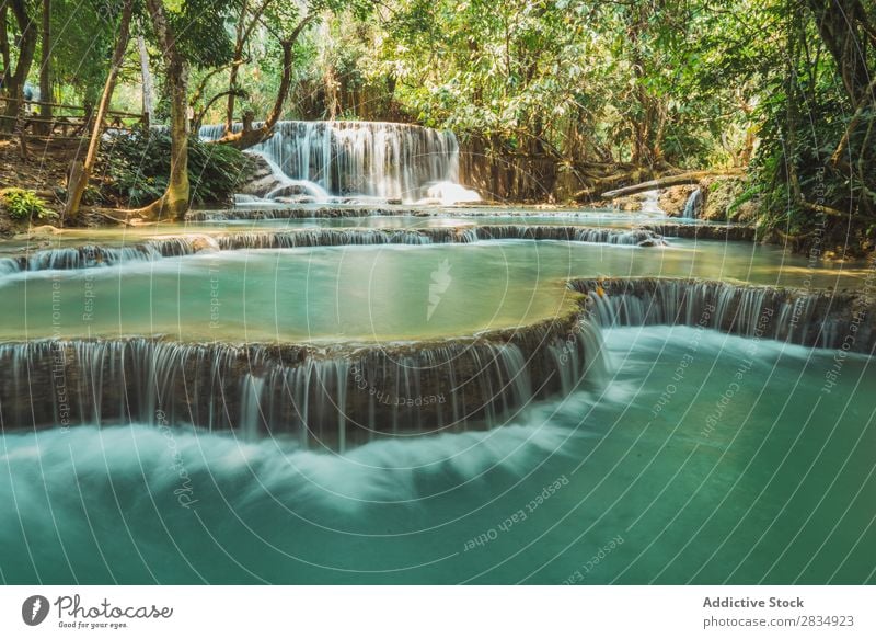 Beautiful small waterfalls flowing Forest cascade Nature Landscape Water Vacation & Travel River Waterfall Park Green Stream Tourism Flow scenery Virgin forest