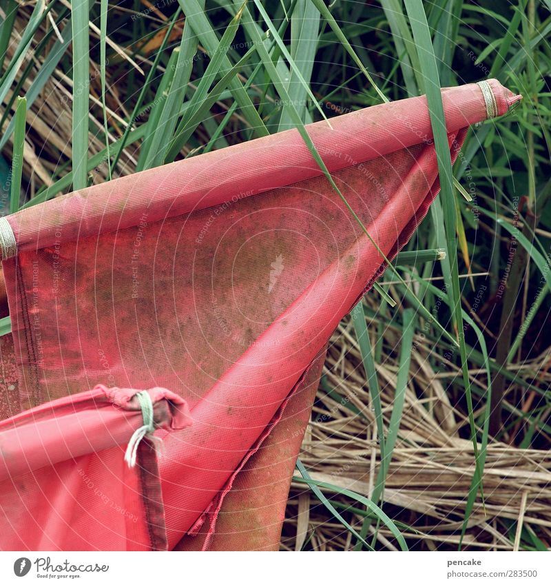 Caught in plastic crime scene. Nature Plant Grass Coast Fjord Navigation Fishing boat Packaging Interest Plastic Plastic box Red Weathered Algae Crime scene