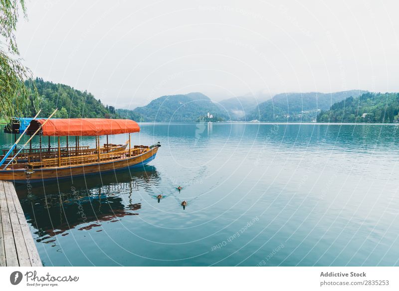 Quay and boats on lake Watercraft Vessel Floating Jetty paddles Lake Mountain Coast Vantage point Nature Landscape Summer Blue Green Beautiful Scene