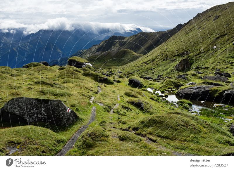 The shepherd Hiking Clouds Summer Beautiful weather Grass Meadow Rock Alps Mountain Gana Negra Peak Switzerland Canton Tessin Europe Walking Large Infinity Wild