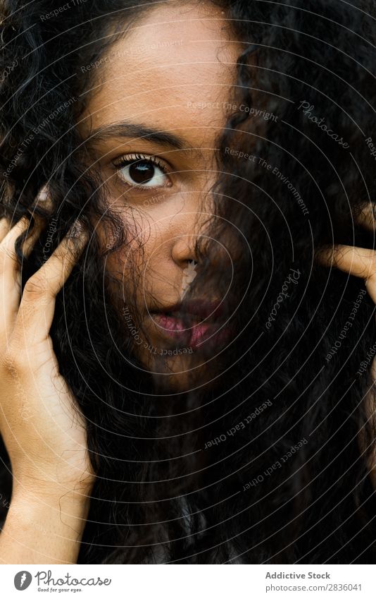 Close-up curly woman Woman pretty Youth (Young adults) Portrait photograph Looking into the camera holding hair Black African Head Beautiful Curly Brunette