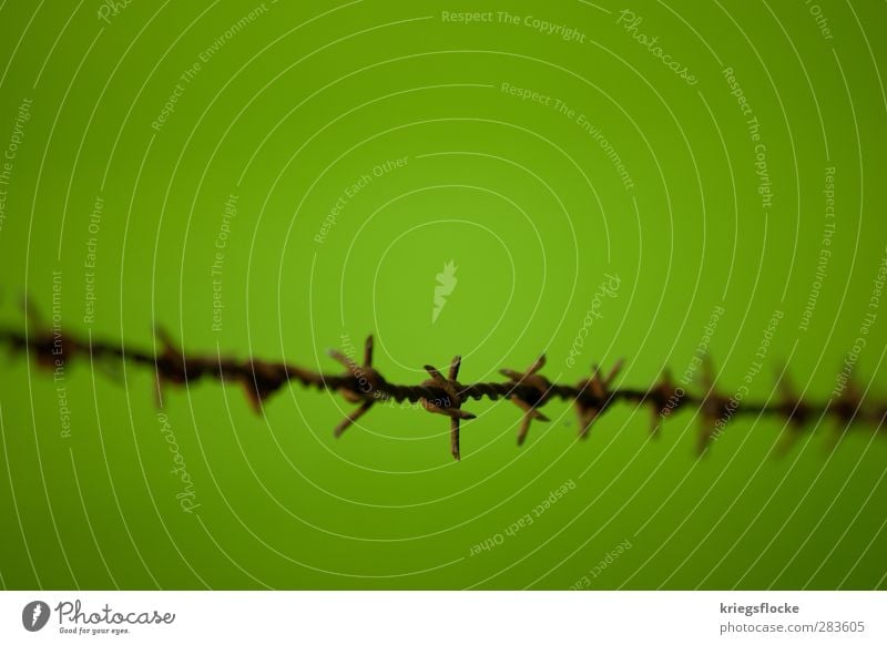 Green Zone Nature Meadow Metal Rust Sharp-edged Rebellious Point Thorny Protection Pain Fear Timidity Respect Barbed wire Fence Border Barrier Divide Exclusion