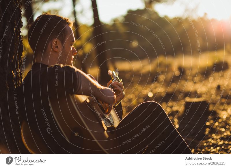 Man playing guitar in nature Guitar Nature Music Forest Sunbeam Day Lean Sit Trunk Lifestyle Musician Easygoing Guitarist Acoustic Autumn Musical Human being