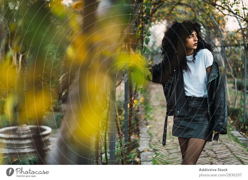 Young curly woman in park Woman Attractive City fashionable Curly Brunette Park Autumn Leaf Jacket Fashion Youth (Young adults) Beautiful pretty Street Model