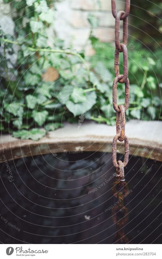 fallen into the wells Environment Water Plant Ivy Well Chain Stone Metal Hang Wet Natural Reflection Go under Colour photo Exterior shot Detail Deserted