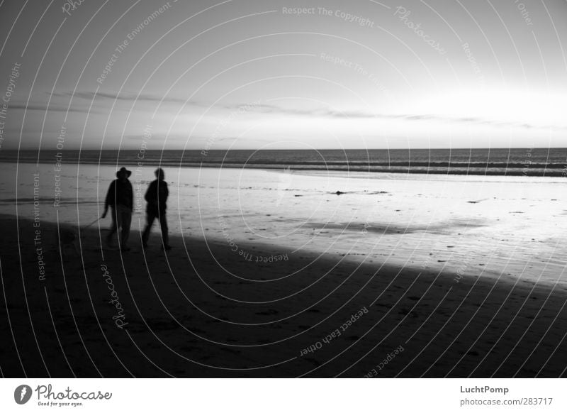 Old Friends Hiking Beach Ocean Water Sand Sandy beach 2 3 Horizon Shadow Silhouette Reflection Dog Man Friendship Connectedness Together Attachment Going