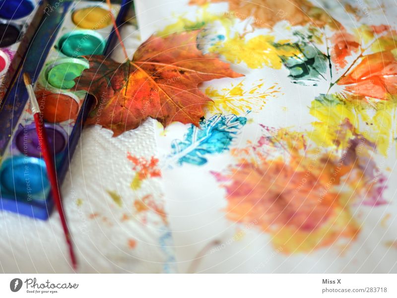 autumn work Leisure and hobbies Art Autumn Leaf Multicoloured Paintbox Colour Creativity Autumn leaves Paper Dye Maple leaf Paintbrush Colour photo Close-up