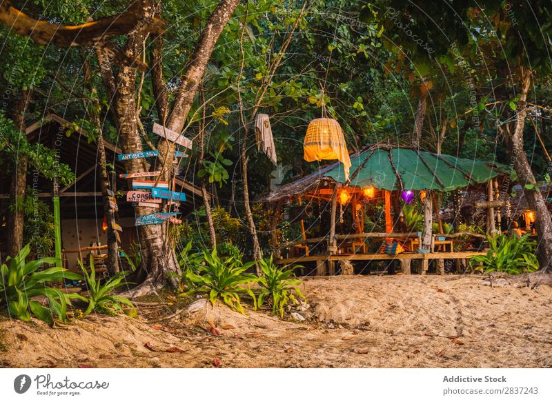 Small wooden house with straw roof House (Residential Structure) Wood tropic Green Tropical Summer Straw Phi Phi island koh Nature Architecture Home Building