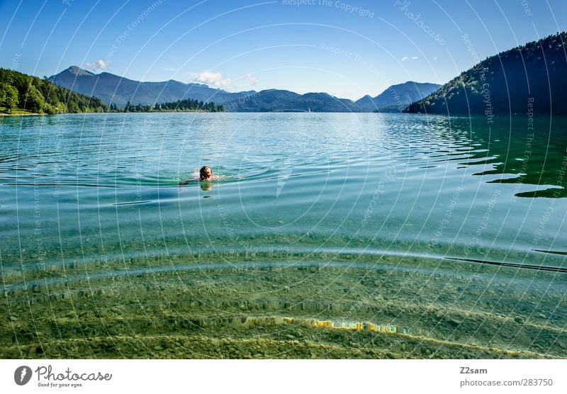 blub blub Vacation & Travel Summer Swimming & Bathing Young man Youth (Young adults) Nature Landscape Water Cloudless sky Beautiful weather Tree Bushes Mountain