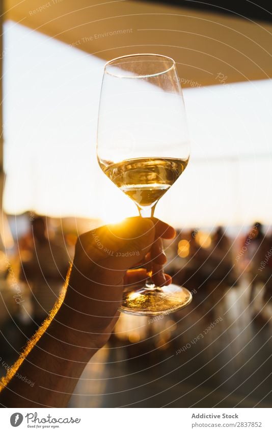 Crop hand holding wineglass Human being Wine glass Event Hand Sunlight Feasts & Celebrations White wine Toast Congratulations Restaurant Drinking