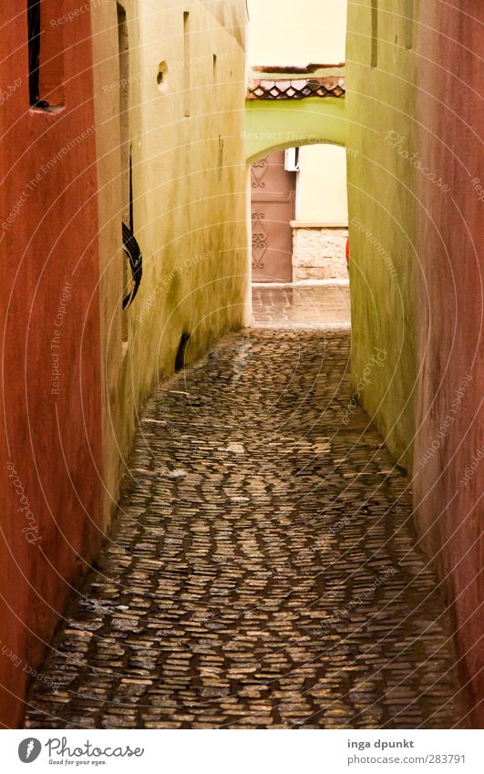 Another short piece Siebenbürgen brasov Romania Europe Outskirts Old town Deserted Wall (barrier) Wall (building) Lanes & trails Alley Street Footpath